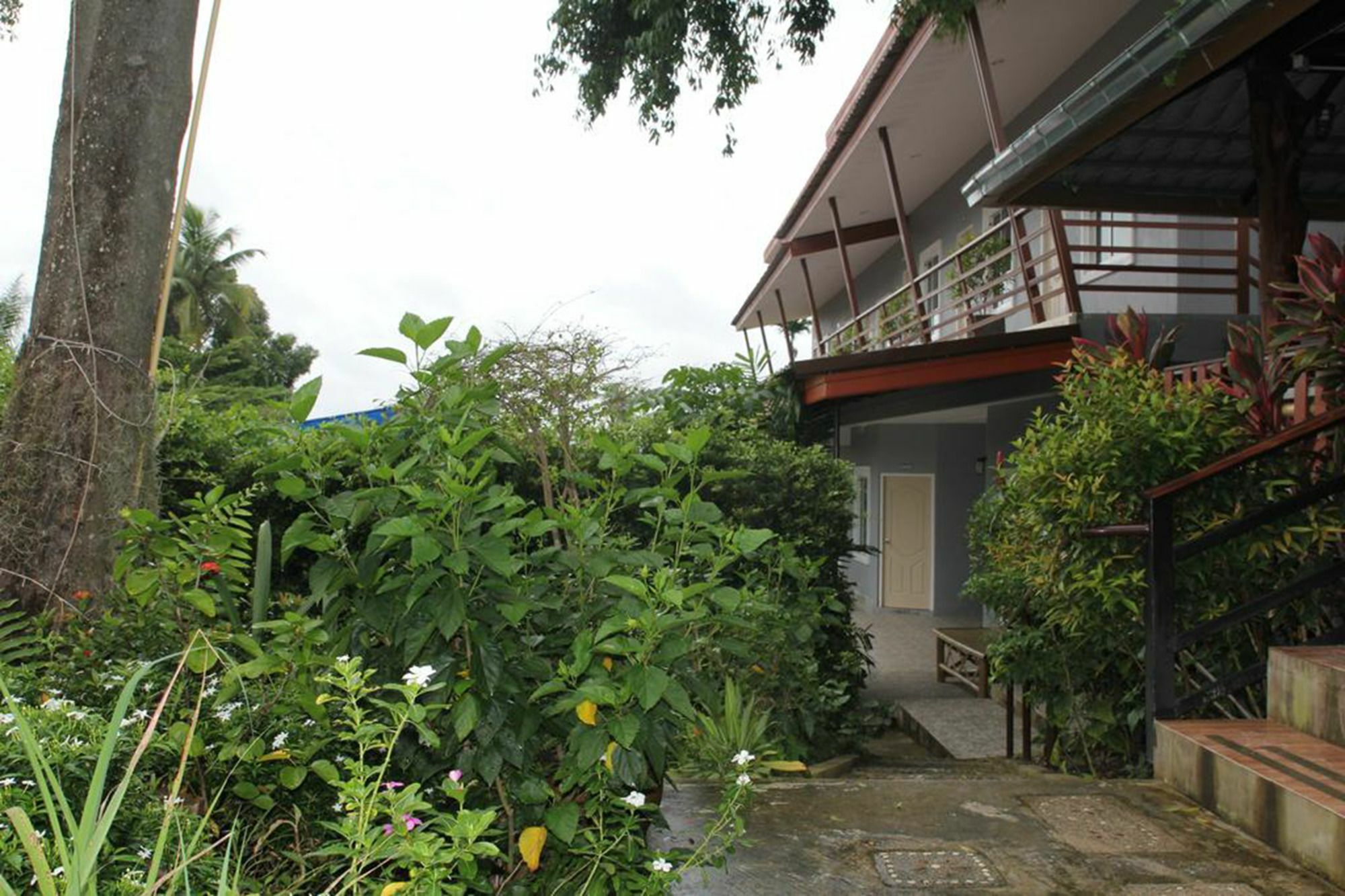 Hotel Krabi Ava Hill Esterno foto