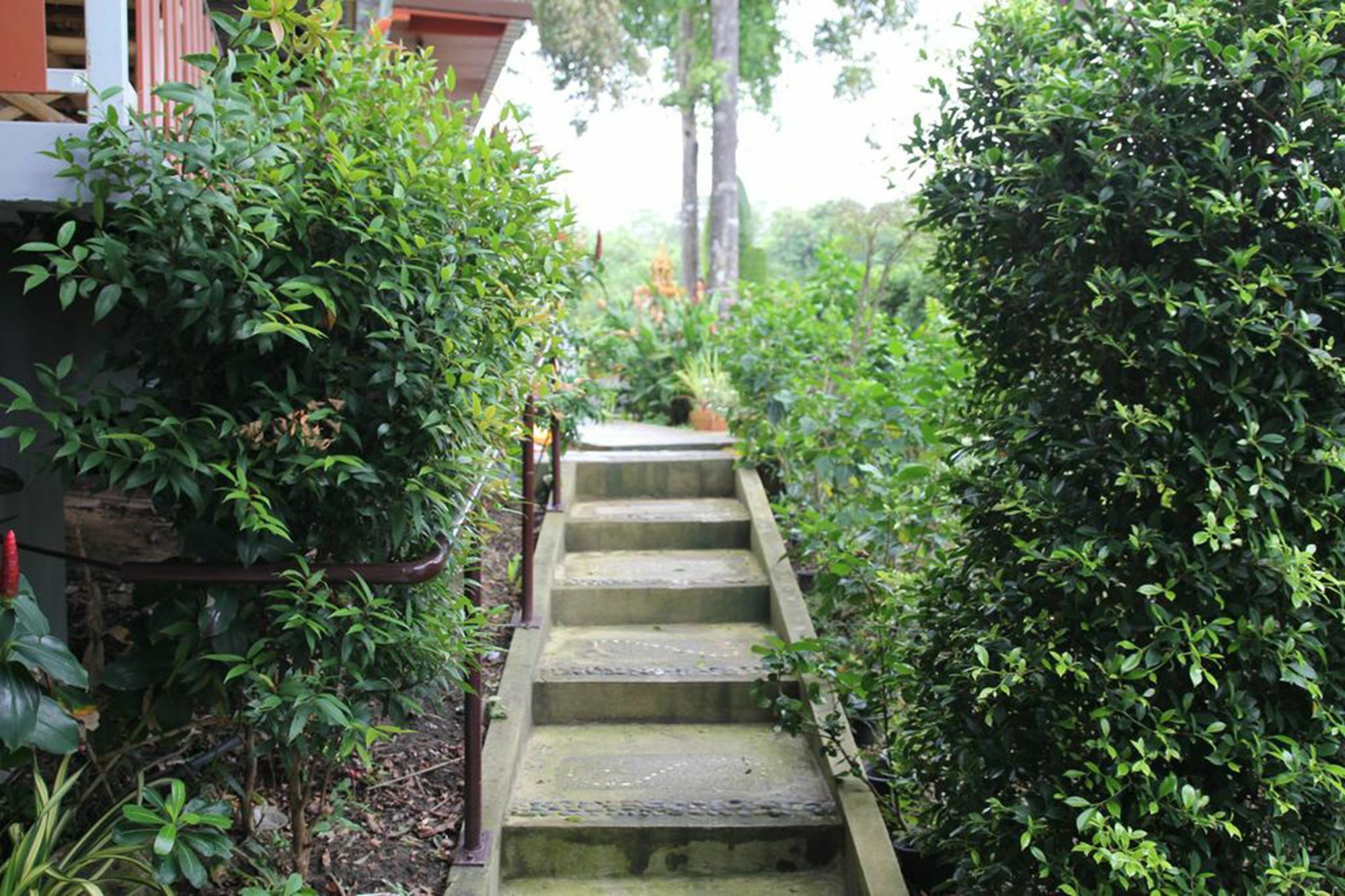 Hotel Krabi Ava Hill Esterno foto